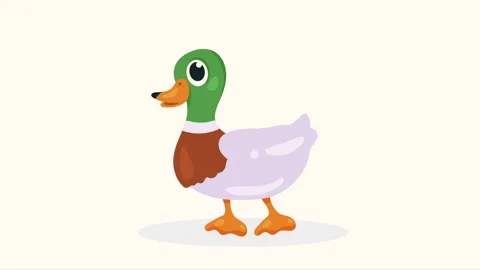 Animated cartoon duck character blinking eyes in cute vector style illustra.. Stock Footage 338759017