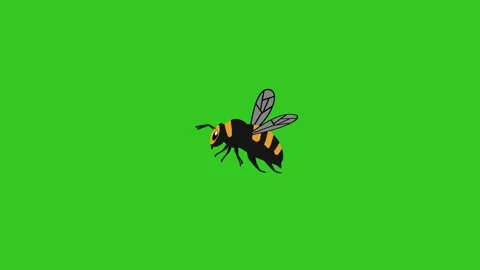 Animated cartoon flyng bee with flapping wings isolated green Stock Footage 342581963