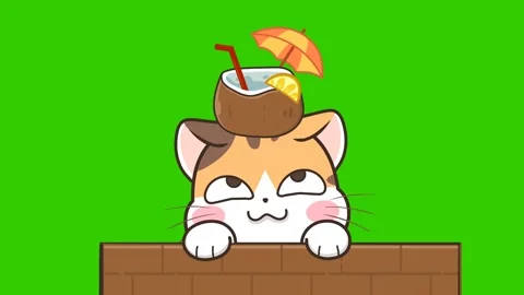 Animated Cat with Coconut - Green Screen Video stock 282782795