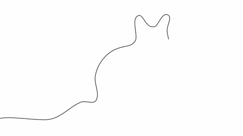Animated cat with continuous lines Stock Footage 300531087