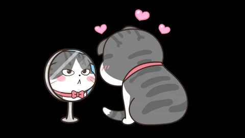 Animated Cat Looking into a Mirror Transparent Background Stock Footage 282783566