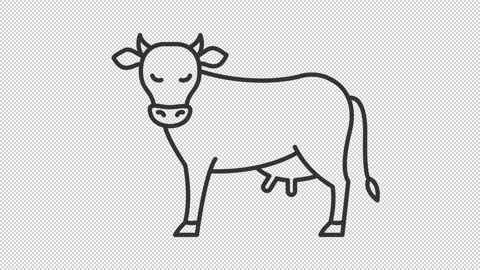 Animated cattle line icon Stock Footage 321855134