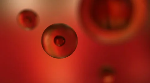 Animated cells floating. Disease, virus, red blood cells, imune system, Stock Footage 35182645