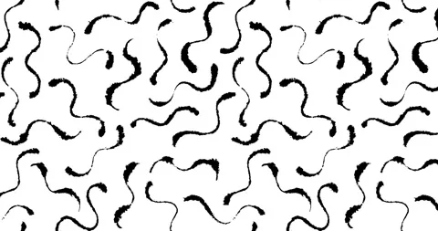 Animated Chaotic Wavy Inky Pattern on Blotting Paper Video stock 241081717
