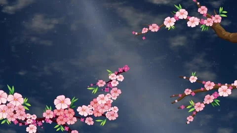 Animated Cherry Blossom Branches Against a Dark Night Sky Background 库存影片 345208609