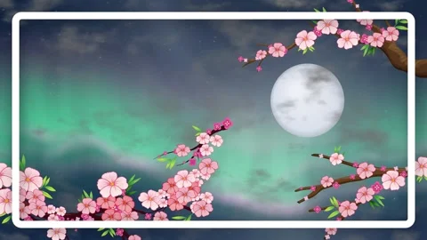 Animated Cherry Blossoms with Glowing Aurora and Full Moon Loop Stock Footage 345300841