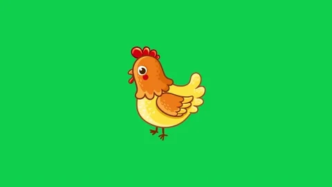 Animated chicken walking on green screen perfect for farm childrens Stock Footage 309099565