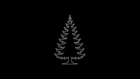 Animated christmas pine tree self drawing illustration Stock Footage 346884437