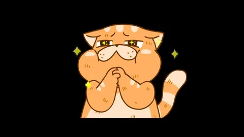 Animated Chubby Cat Impressed with Transparent Background Stock Footage 282774526