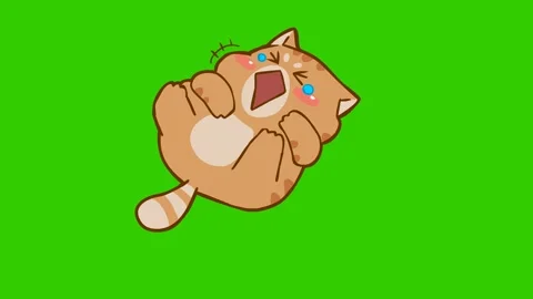 Animated Chubby Cat Laughing and Rolling Stock Video Pond5