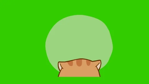 Animated Chubby Cat Smiling Pleadingly - Green Screen Stock Footage 282778659