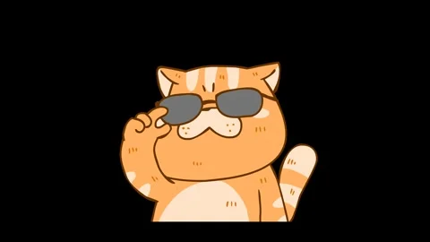 Animated Chubby Cat Taking Off Glasses with Transparent Background Stock Footage 282774567