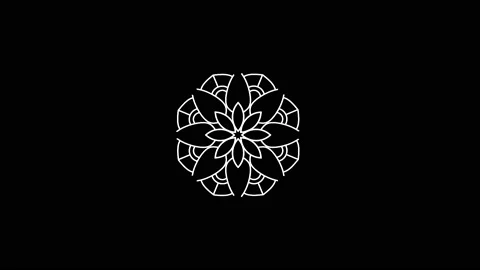 Animated circle black and white mandala pattern drawing Stock Footage 149979062