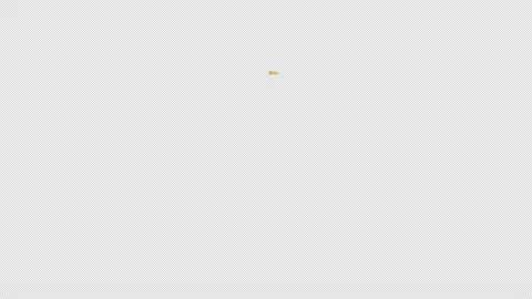 Animated Circle flat shape elements Stock Footage 159120262