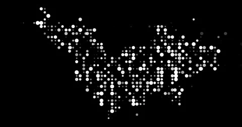 Animated Circles Build Saint Barthelemy Map Silhouette Shape Stock Footage 319695049