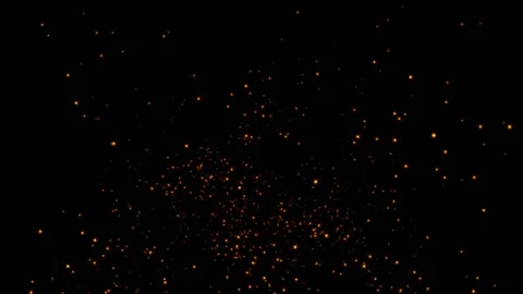 Animated coal particles.  Fire Sparks on black background. Fire embers glow. Stock Footage 308110857