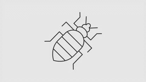 Animated cockroach icon Stock Footage 277185202