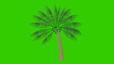 Animated Coconut Tree Stock Footage 278342248