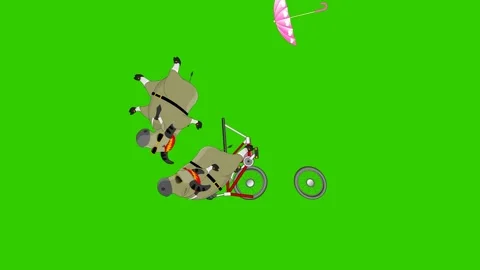 Animated Comedy of Two Buffaloes Riding and Crashing a Bicycle Stock Footage 278342191