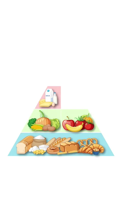 Animated Construction of a Vertical Food Group Pyramid Diagram Stock Footage 328279220