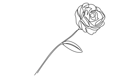 Line Drawing Roses Stock Video Footage | Royalty Free Line Drawing ...