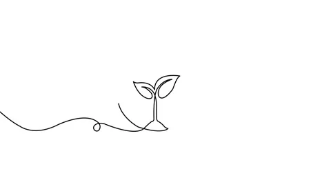 Animated continuous single line drawing of Tree Stock Footage 310417026