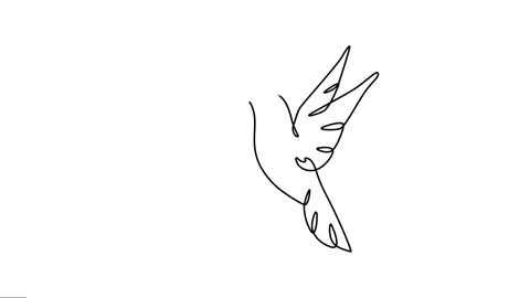 Animated continuous single line drawing of bird. Видео 320070817
