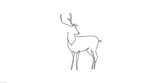 Animated continuous single line drawing of male deer. Видео 320070828