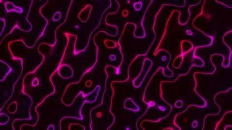 Animated Contour Lines Motion Background with Abstract Topographic Wave Overlay  Stock Footage 340200294