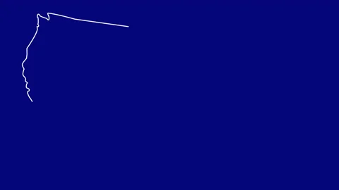 Animated contour map and flag of USA Stock Footage 137319836