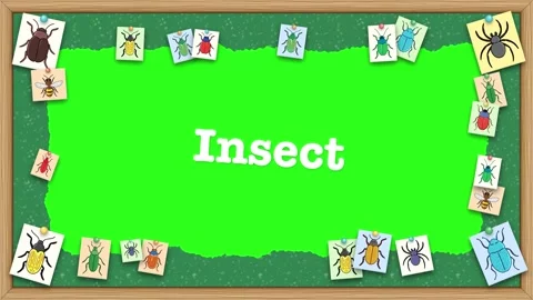 Animated Corkboard Insect Border Frame with Green Screen Stock Footage 347935343