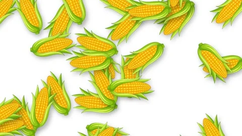 Animated Corn Cobs Falling Downward Against a Plain White Background Stock Footage 341549463