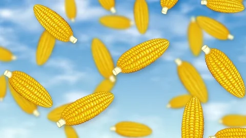Animated Corn Cobs Falling Through a Bright Blue Sky with Clouds Stock Footage 343837087
