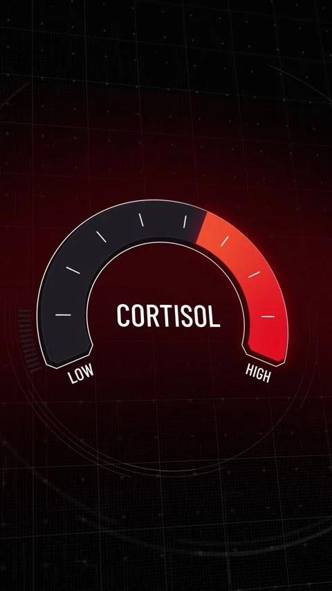 Animated cortisol level gauge, digital meter moving from critical high level  Stock Footage 314343248