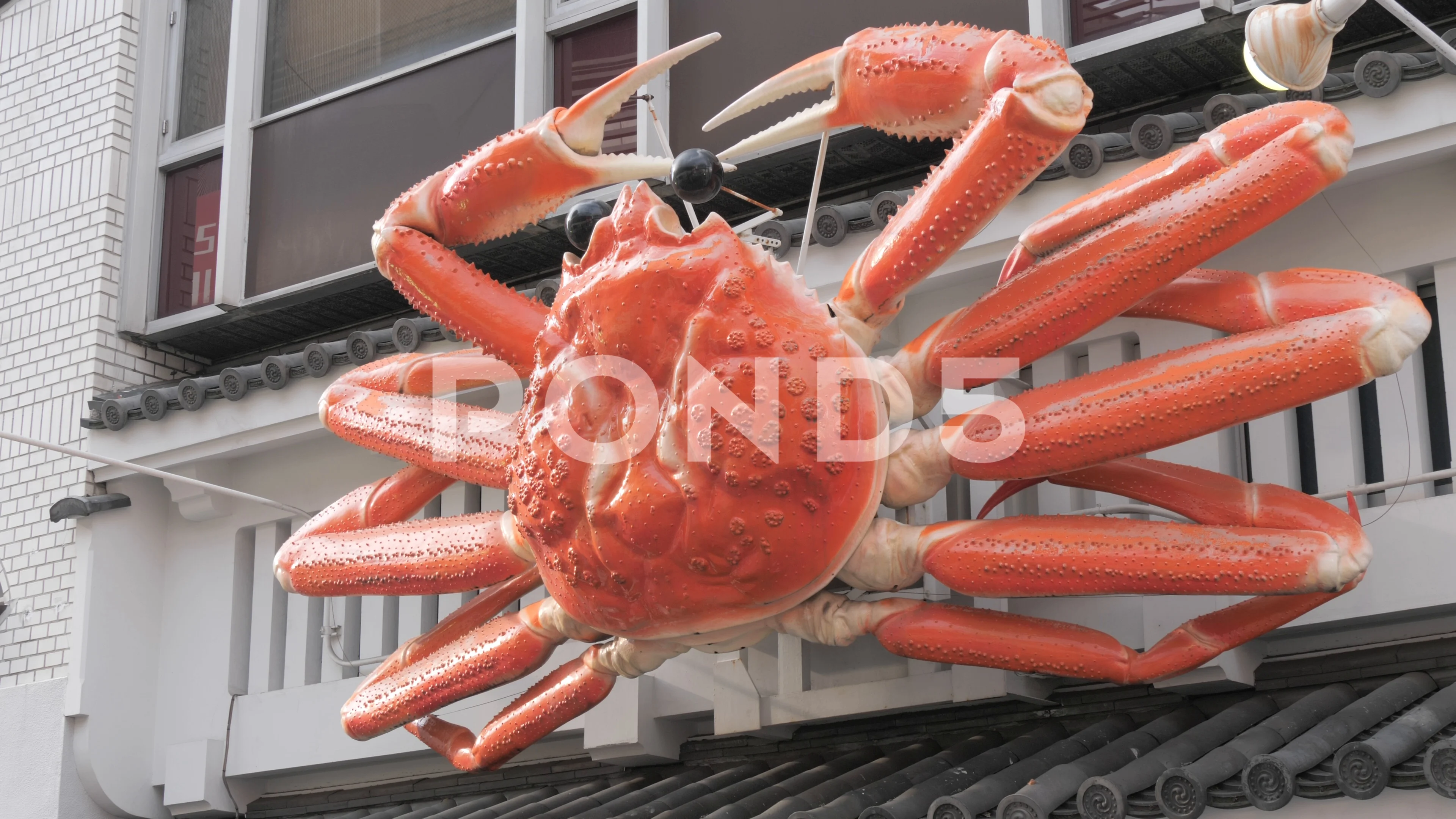 Animated Crab In Dotonbori Restaurant Os Stock Video Pond5