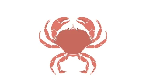 Animated crab on an isolated white background. Seamless looping animation Stock Footage 139625432