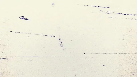 Animated Creative Grunge Texture Overlay Stock Footage 295966179