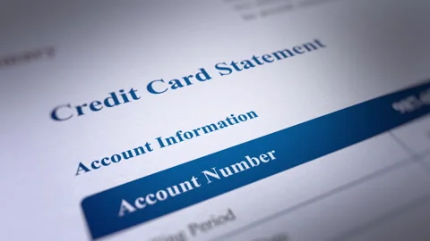 Animated Credit Card Statement Stock Footage 240321366