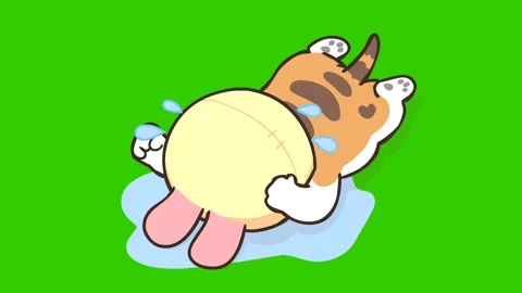 Animated Crying and Throwing a Tantrum Kitten with Green Screen Background Stock Footage 282781697