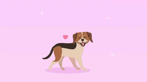 Animated cute beagle dog walking with floating pink hearts on pastel backgr.. Video stock 338419065