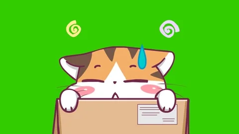 Animated Cute Cat Peeking from Box - Green Screen Stock Footage 282780695
