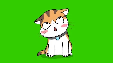 Animated Cute Kitten Looking Up Curiously   - Transparent Background Stock Footage 282772393