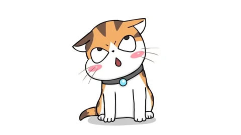 Animated Cute Kitten Looking Up Curiously White Background Stock Footage 282772400
