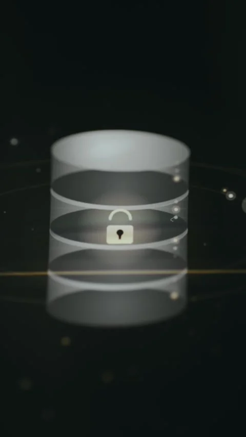 Animated cybersecurity visualization for protected data storage Stock Footage 332053739