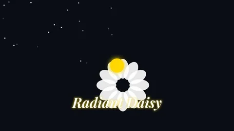 Animated daisy flower bloom on black background loop 動画素材 337501136