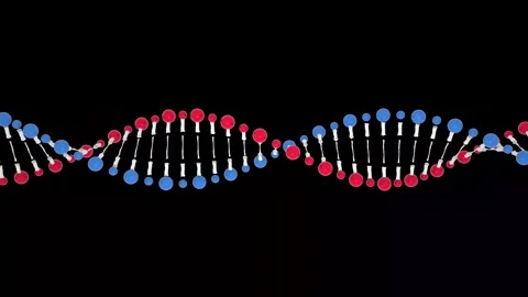 Animated Dance of a DNA Strand Stock Footage 341776945