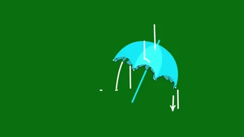 Animated Dancing Umbrella Blowing in the rain on the green screen background Stock Footage 307905162