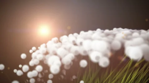 Animated Dandelions Stock-Footage 46477341