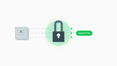 Animated data encryption process with document and secure padlock icon Video stock 334737344