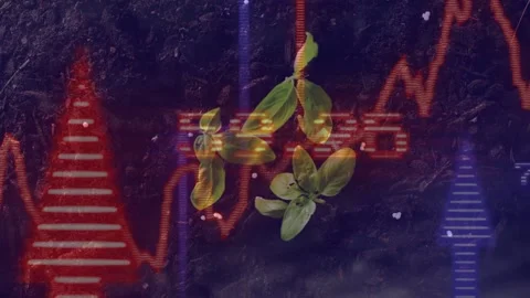 Animated data visuals starting left, orange line crossing seedling, pulsing bars Stock Footage 335465432